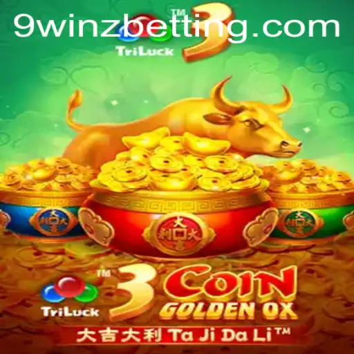 9winz Casino App
